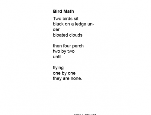 Bird Math